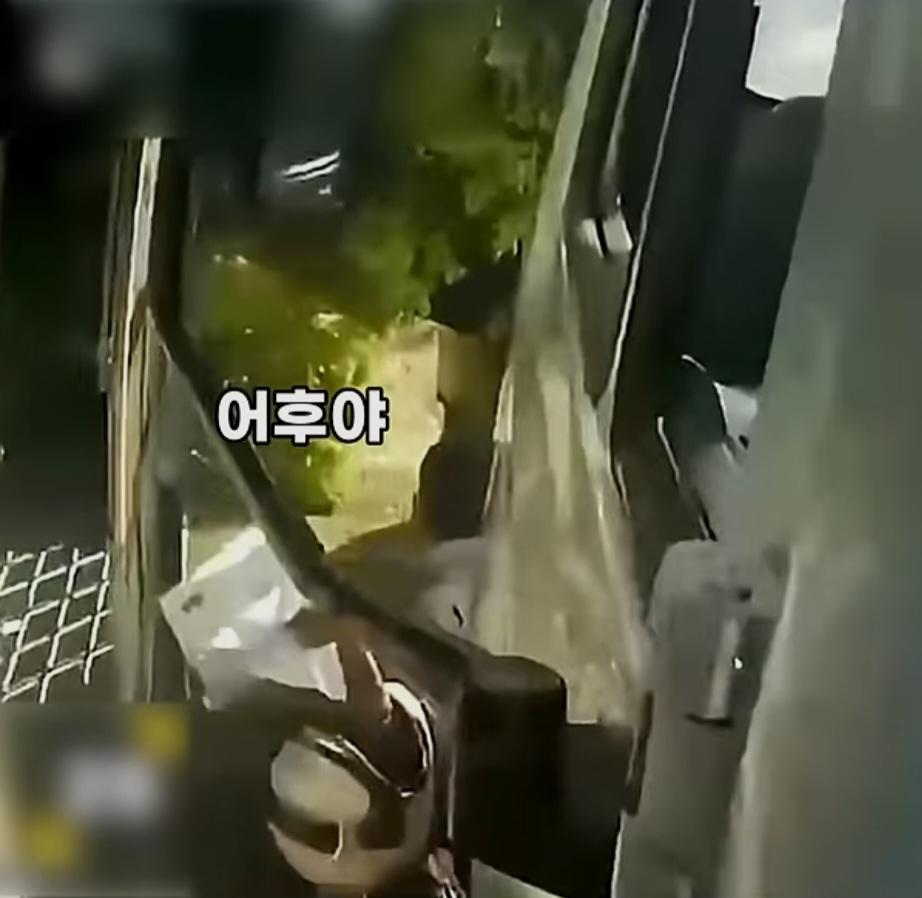 42838.jpg