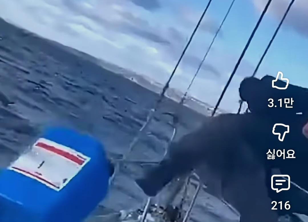 42854.jpg