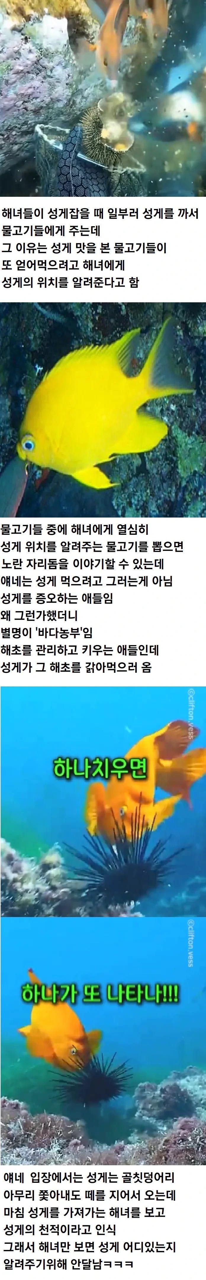 2948988258_0nWrZsb8_giwch9JKdPS7pMmL.jpg
