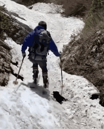 GIF_20260329_042142_201.gif