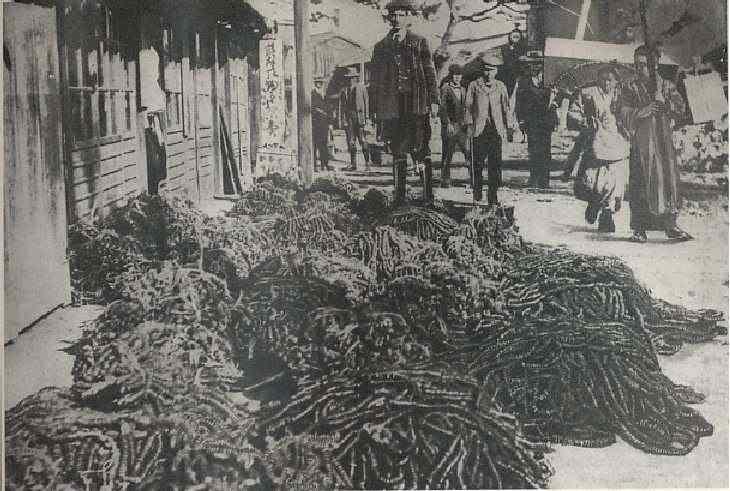 1000012165.jpg