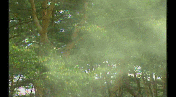 GIF.gif