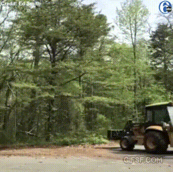 61e24bd144f8e722223533172c5ae6998a3145ae.gif