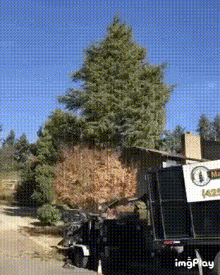 891bed15e166071436cb0295851550d8a9bc5899.gif
