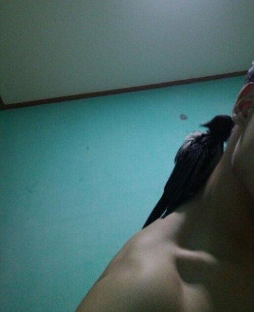 Internet_20260330_131629_2.jpeg