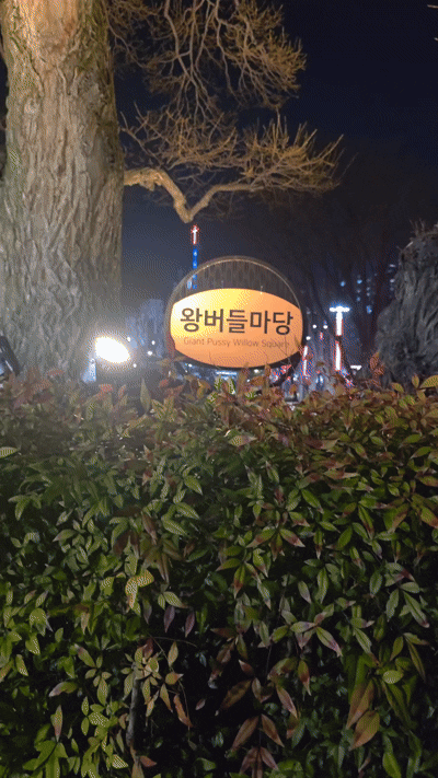 1000044669.gif