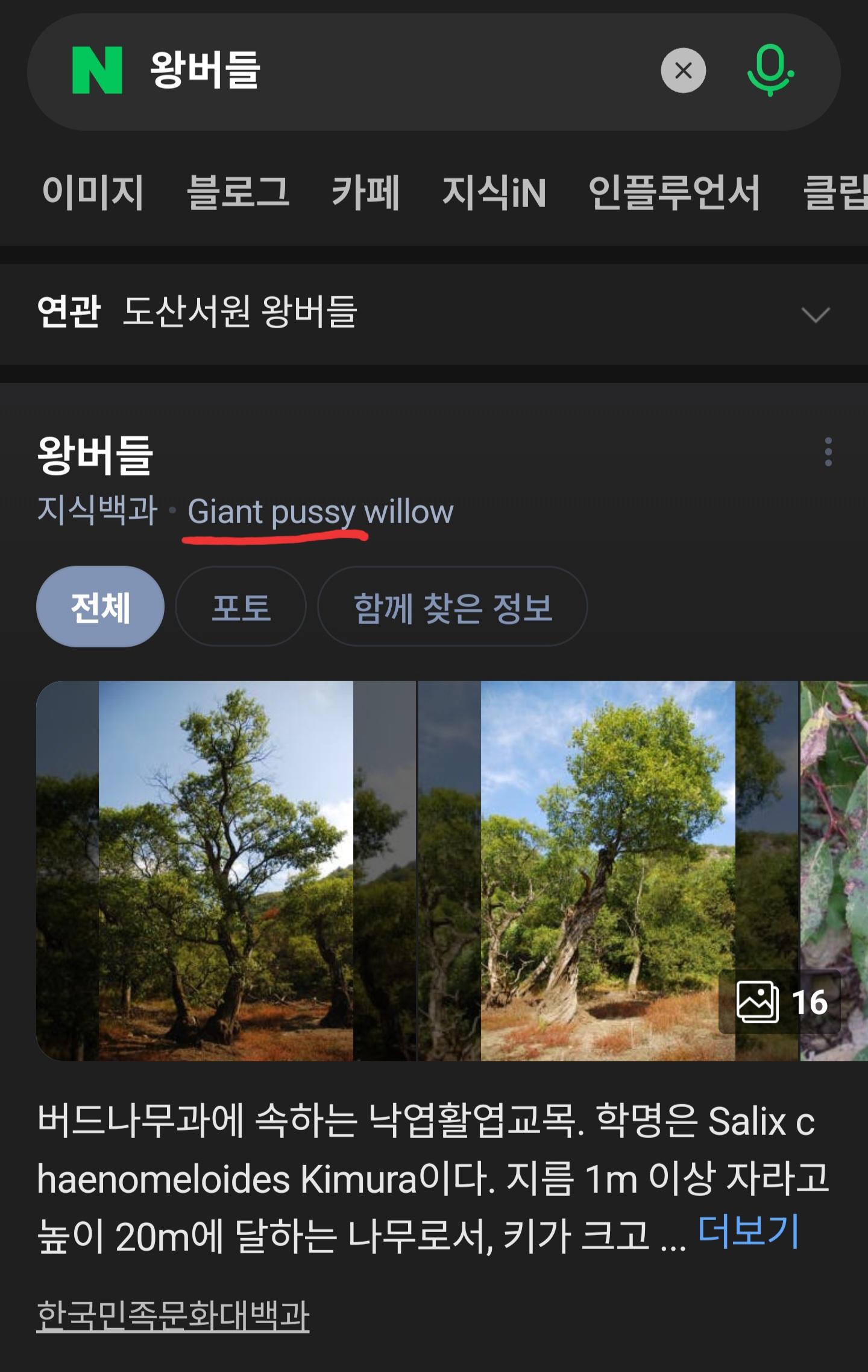 1000044670.jpg