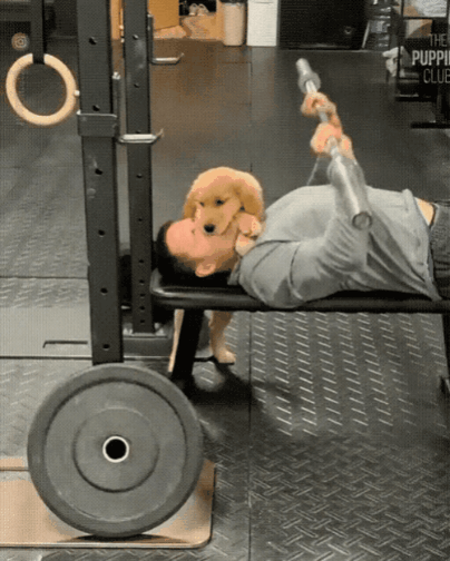 GIF_20260330_153728_041.gif