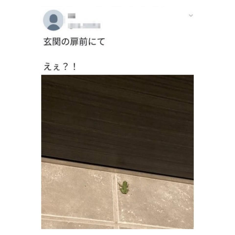 1000095207.jpg
