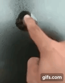 6097.gif