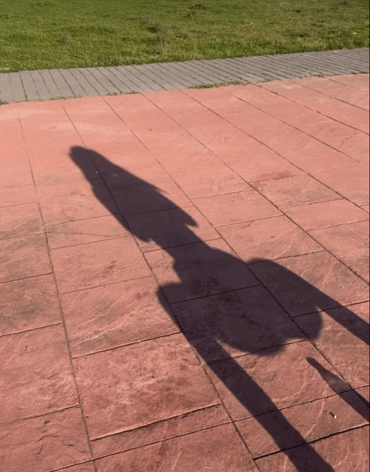 IMB_AqQ320.gif