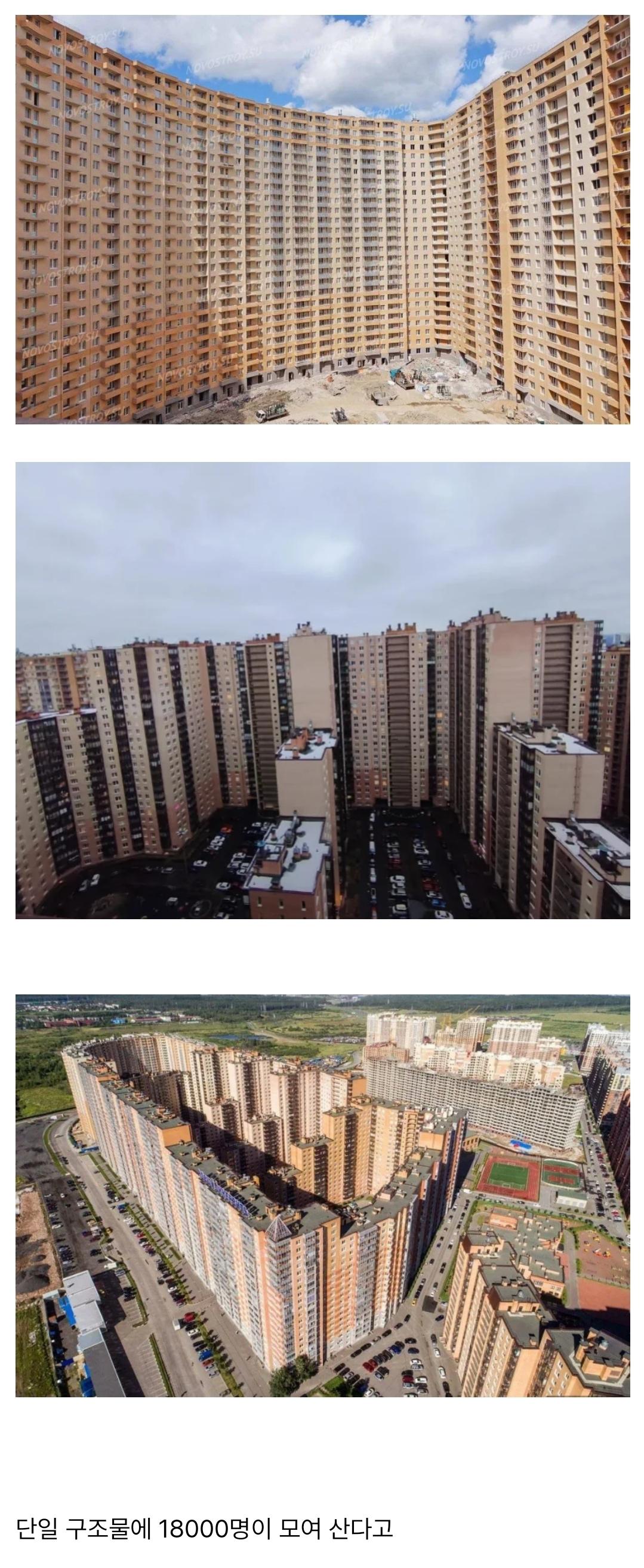 1000033011.jpg