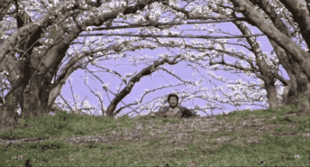 GIF_20260402_130123_949.gif