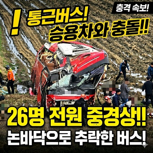 다운로드.gif