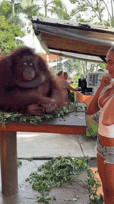 1000045209.gif
