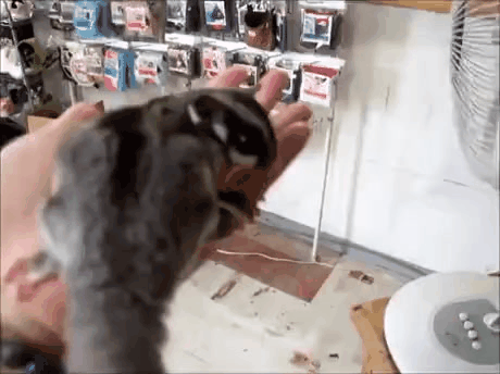 GIF_20260402_150757_676.gif