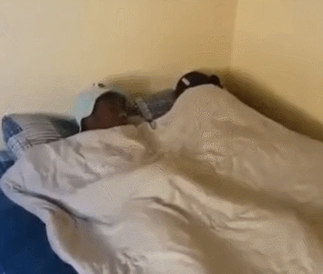 Awc5d082cedd6d71.gif