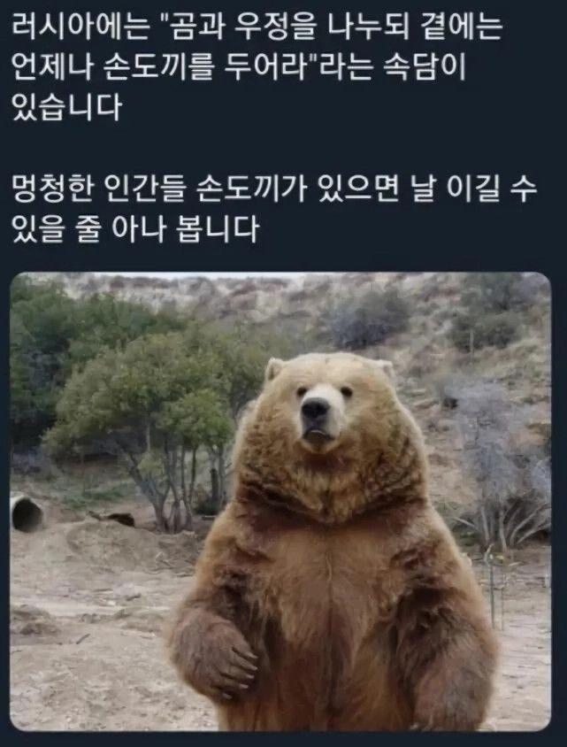 1000095650.jpg