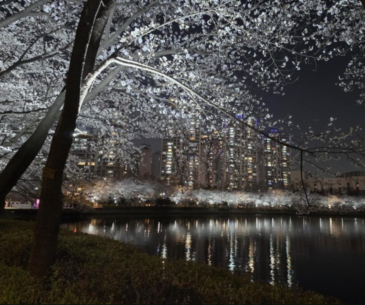 석촌1.png