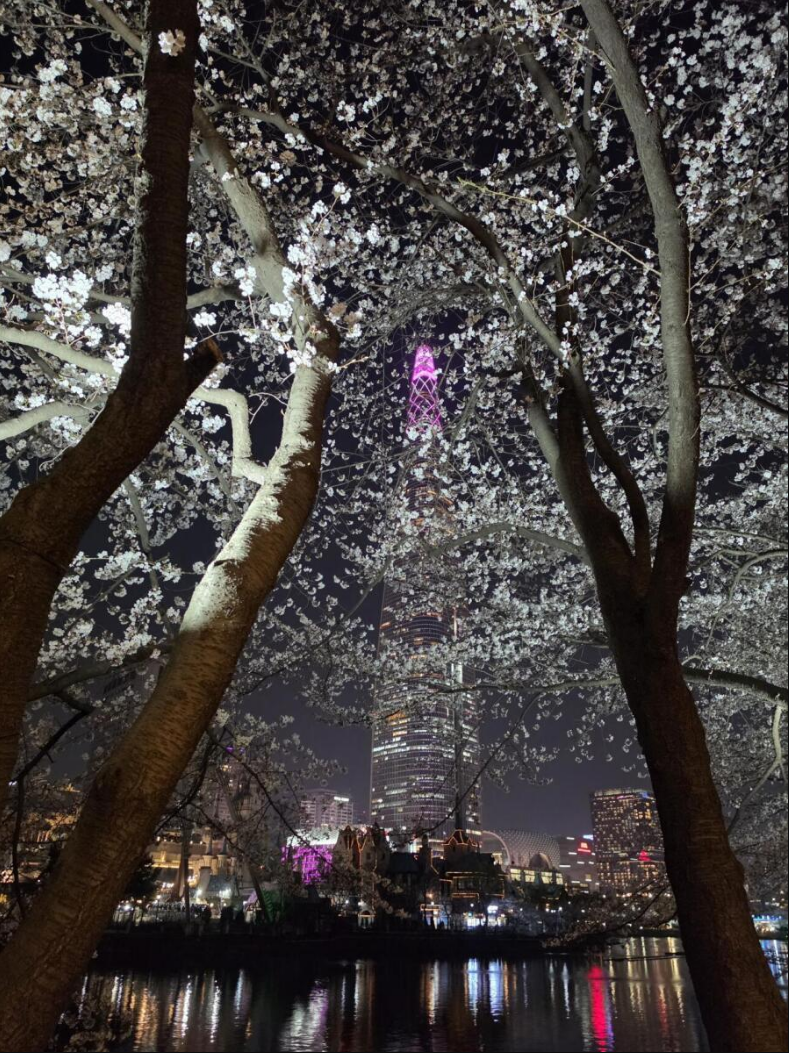 석촌2.png