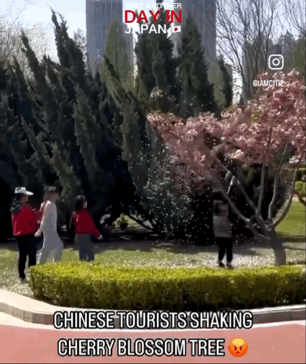IMB_r8x7V8.gif