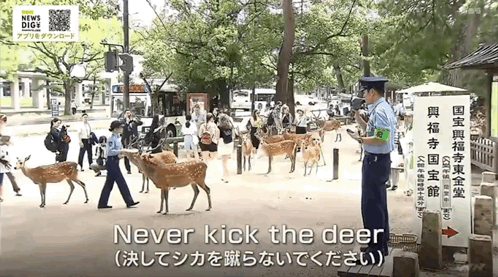 IMB_oxppBr.gif