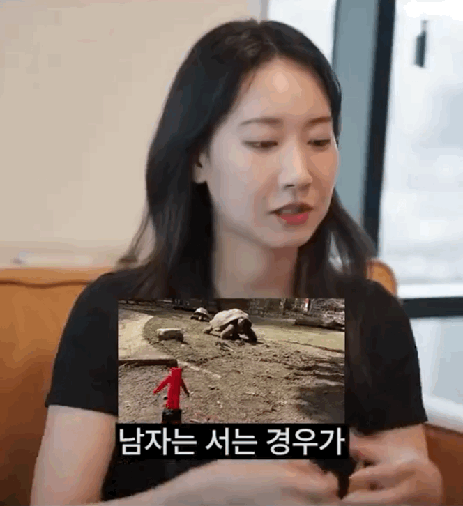 IMB_t287R9.gif