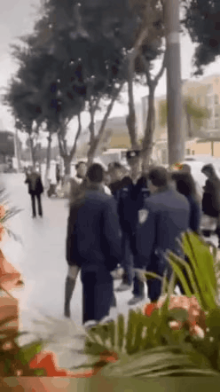GIF_20260403_155453_072.gif