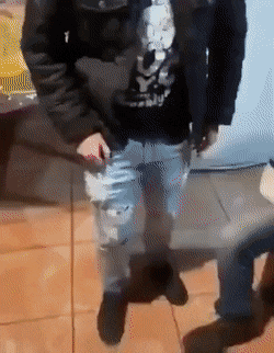 눈치빠른 댕댕이.gif