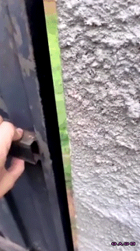 bf58631e60c91ed0cee783f87eb92f43d5e607b1.gif