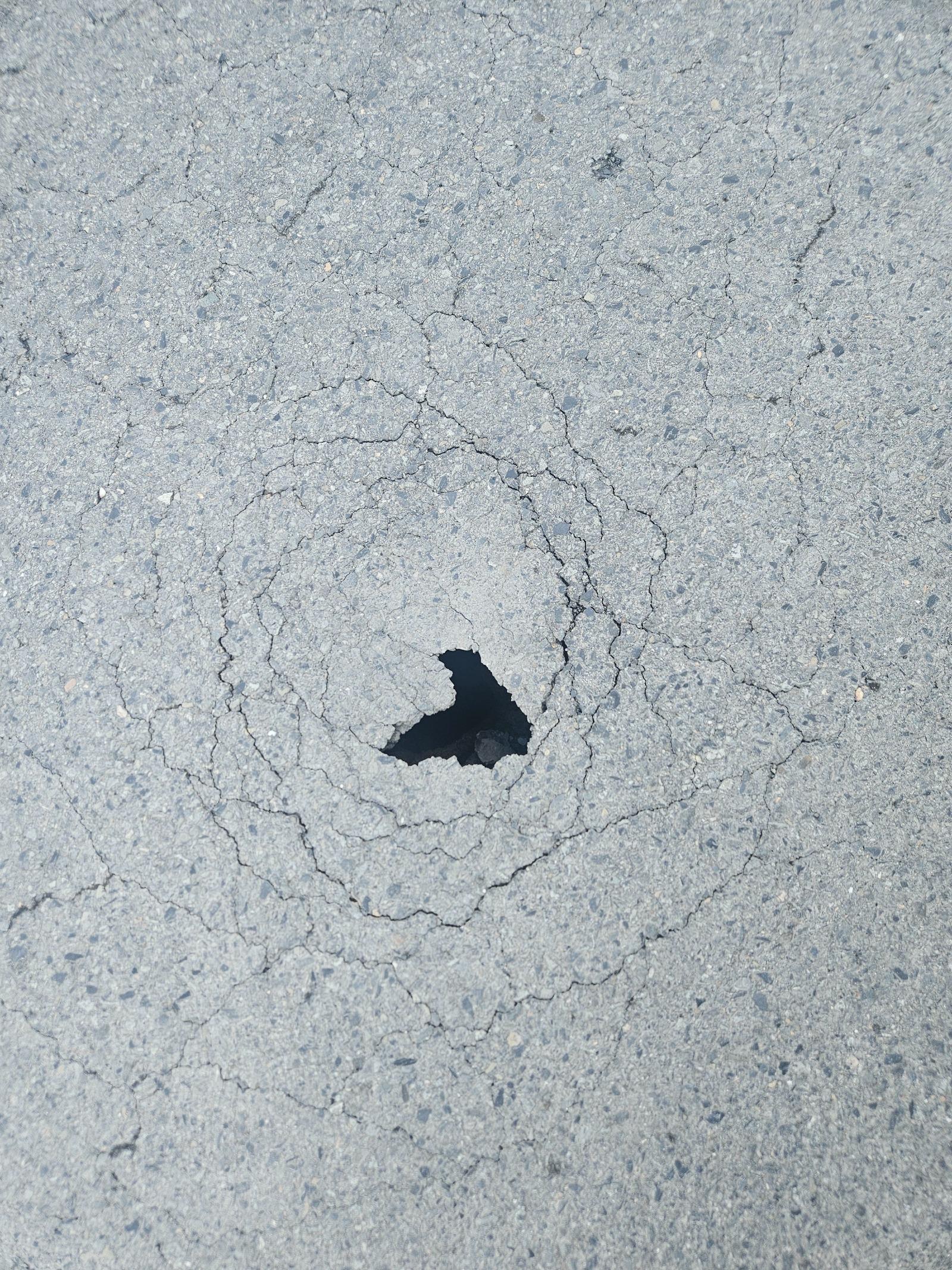 1000026860.jpg