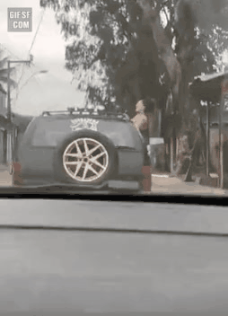 GIF_20260407_201338_712.gif