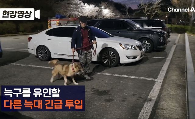 051fbe709d2c26a1c19f9c9bdf71f7119a2d5ecc_20260409154110.gif