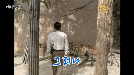 dc6af3f42f0391583616b3e2e2c82dccbb5dcf41_20260409161303.gif