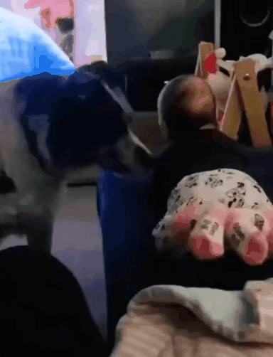 GIF_20260409_182417_366.gif