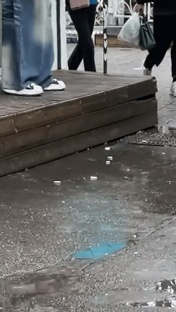 1775755383767.gif