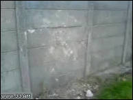 04.gif