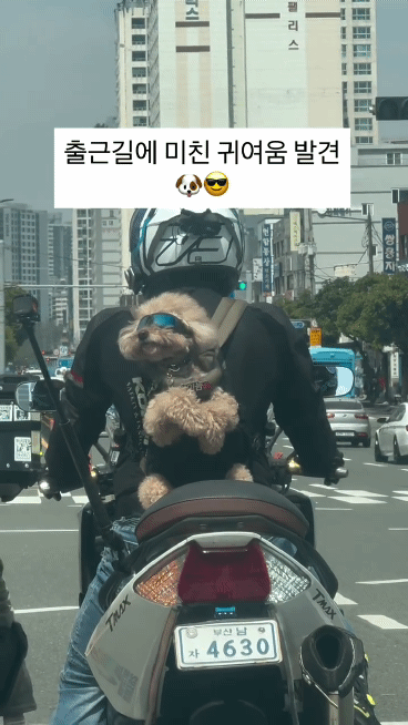 AQPL_I7t6P3GR1KVtPALaUZQRFqa6ic_UBHm65MK4XURpULH5PETh9yFULjaRVZqmGl9Ylyunvo6D2hgC9b-12cwunLgm9ZahqtxRdE_1.gif