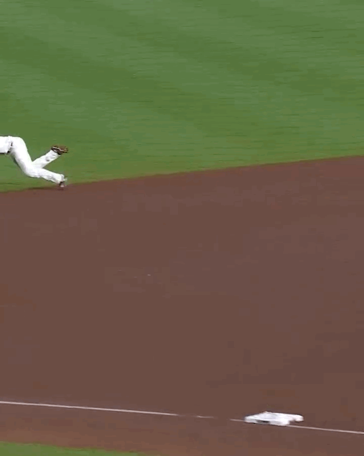 IMB_roitLG.gif