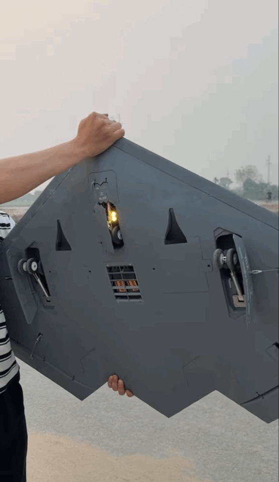 IMB_2Biki0.gif