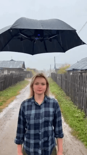 64649.gif