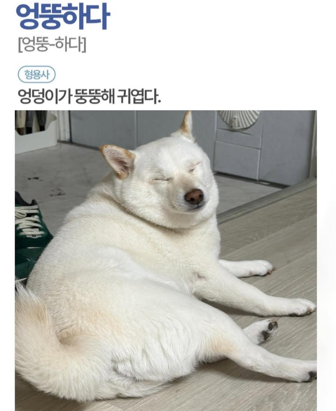 1000033032.jpg