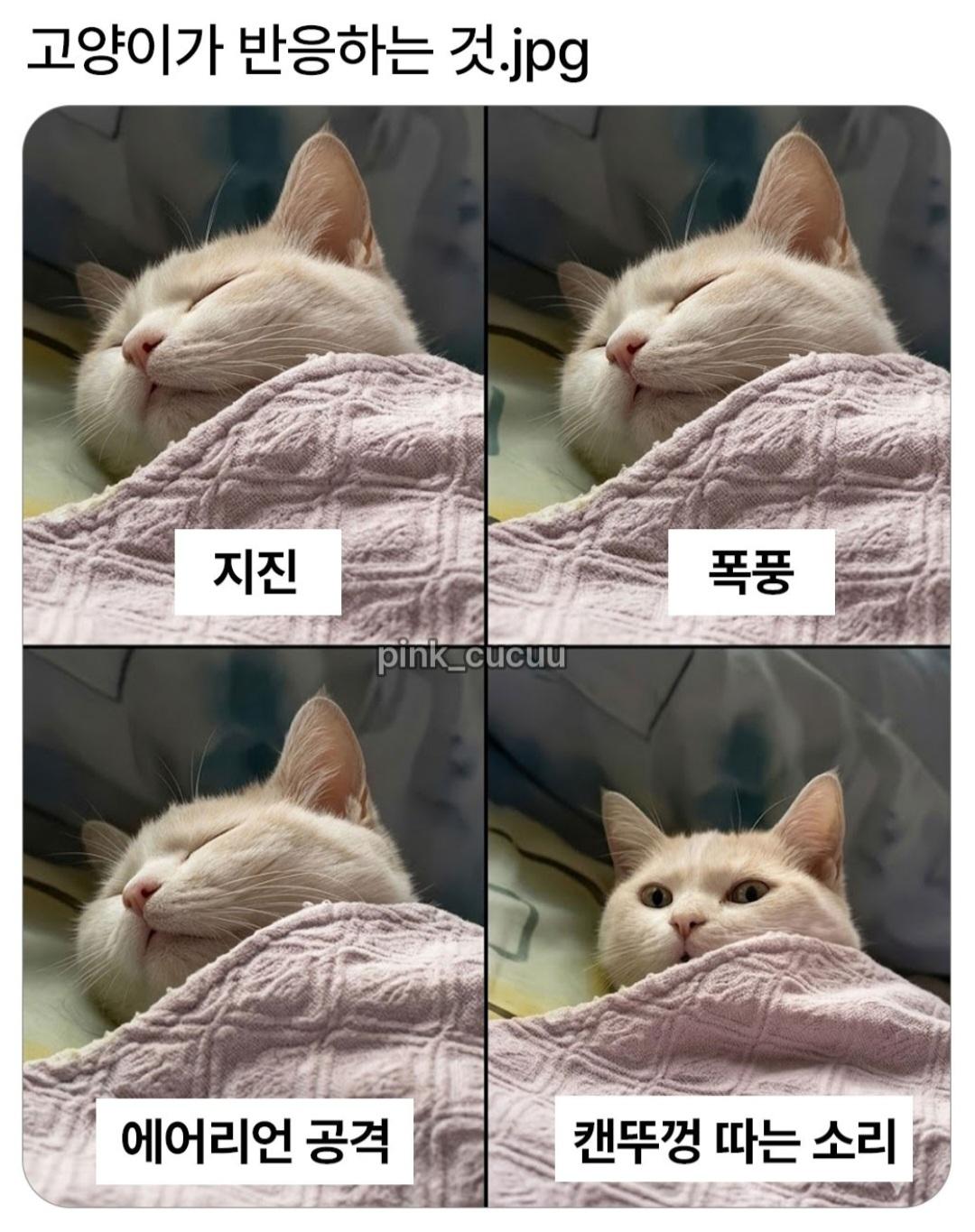 1000033033.jpg