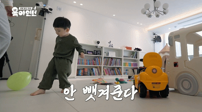 5.gif