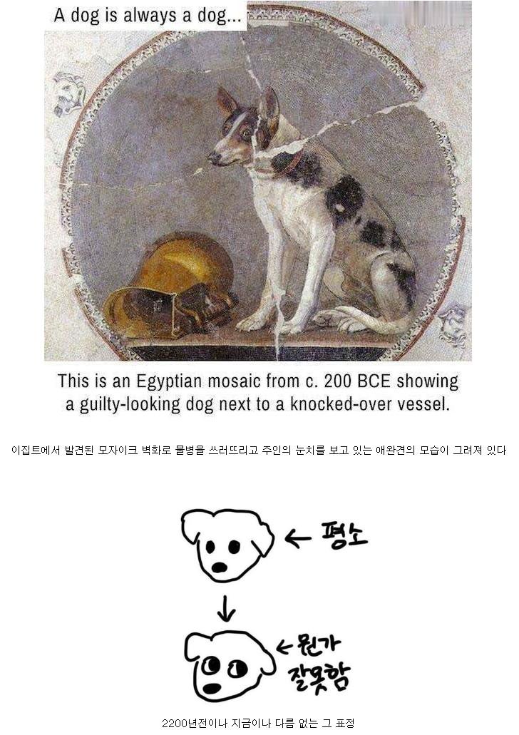 1000092444.jpg