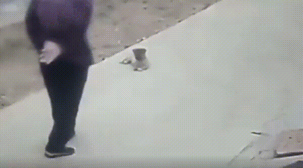 1775862006_523152941.gif