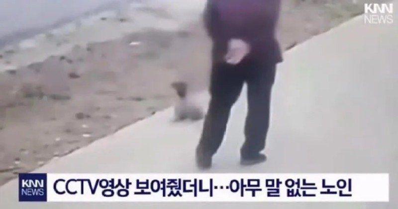 1775862005_538642607.jpg