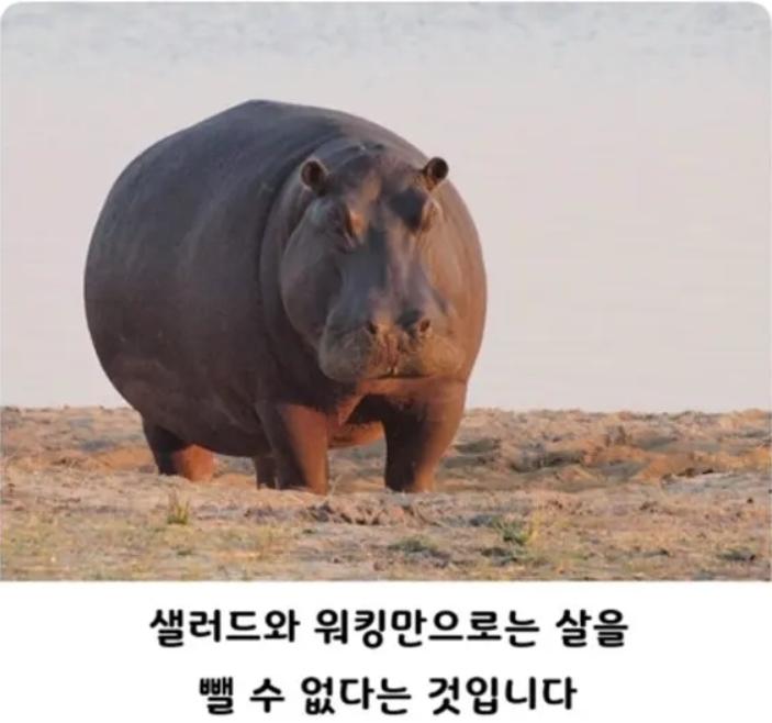 1000092473.jpg