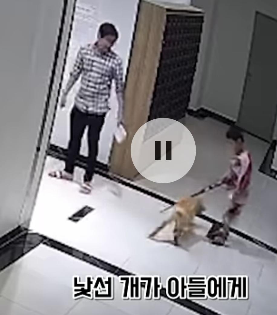 44327.jpg