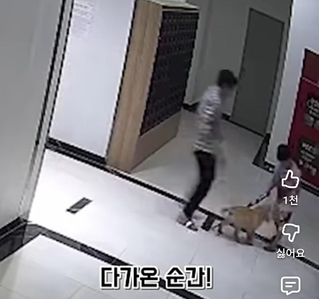 44325.jpg
